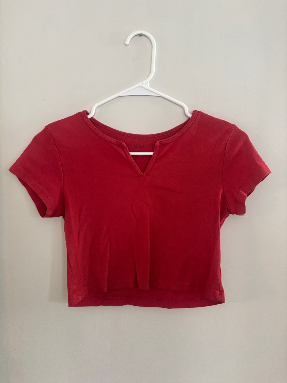 John Galt Brandy Melville Red Cropped Short Sleeve Top